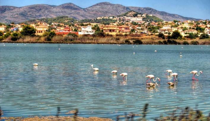 Apartamento Moderno Muy Centrico Y Cerca De La Playa Leilighet Calpe Eksteriør bilde